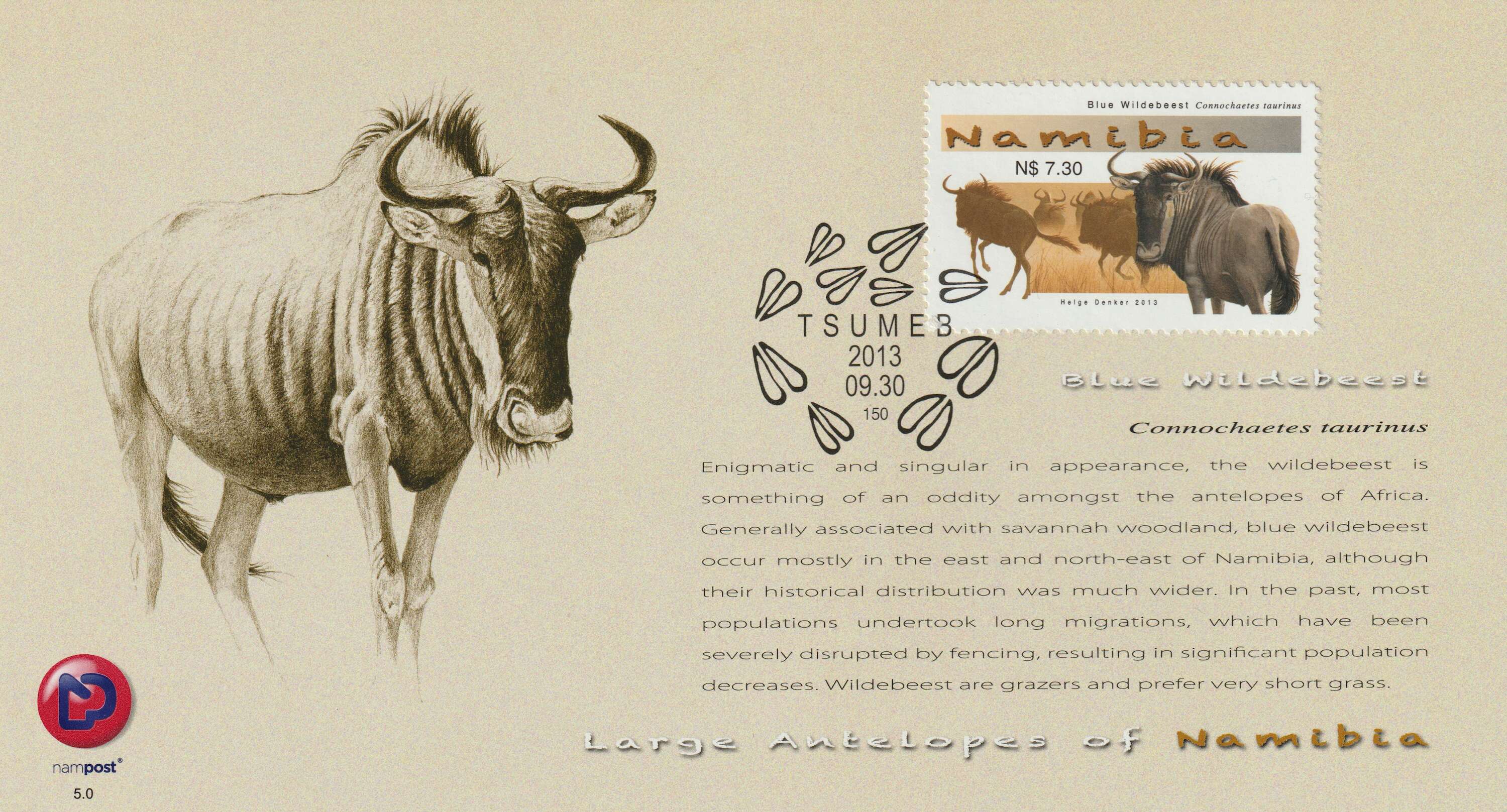 Blue Wildebeest stamp and information from the Large Antelopes of Namibia series.