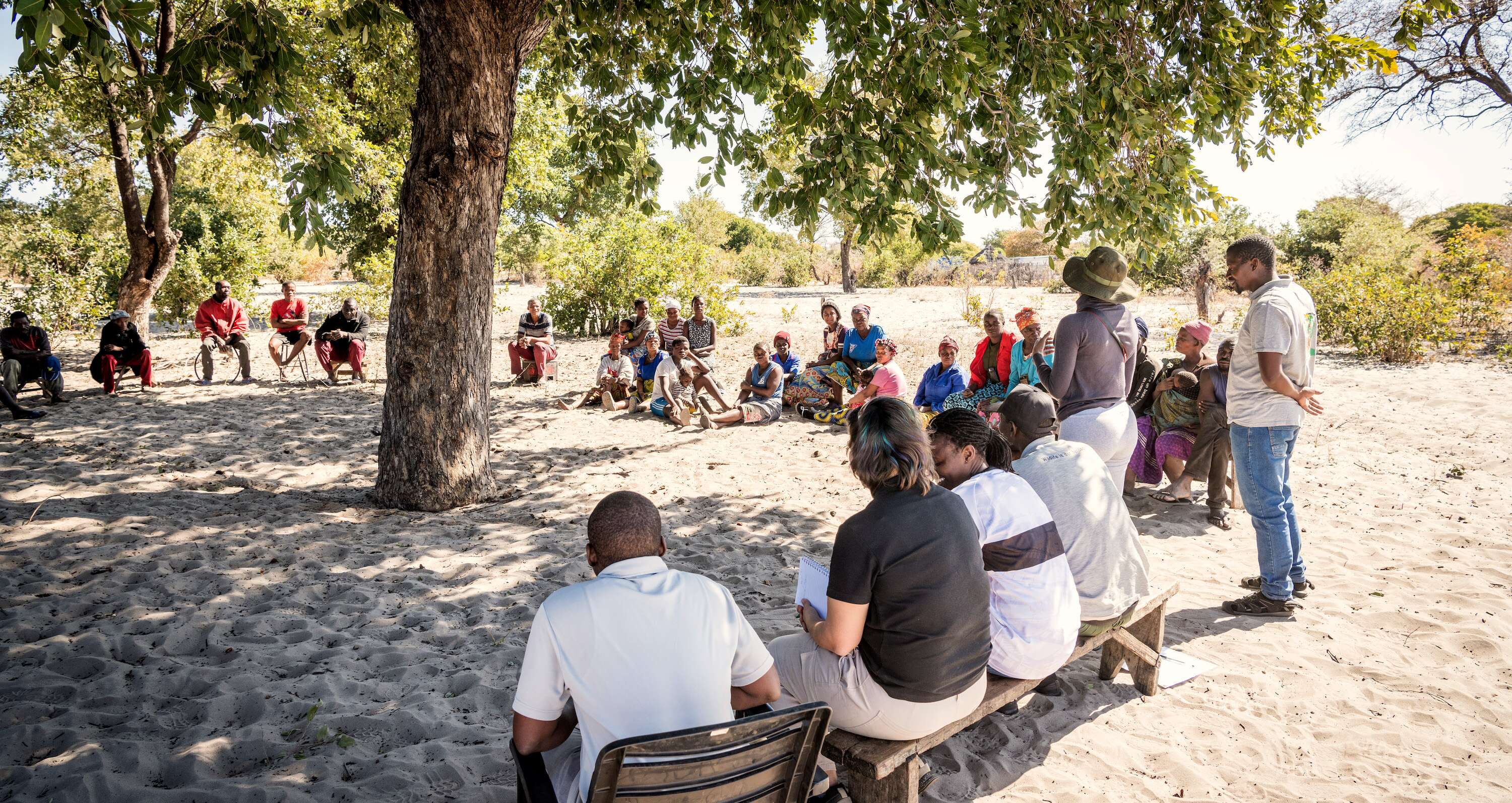 A group of people meeting under a tree.