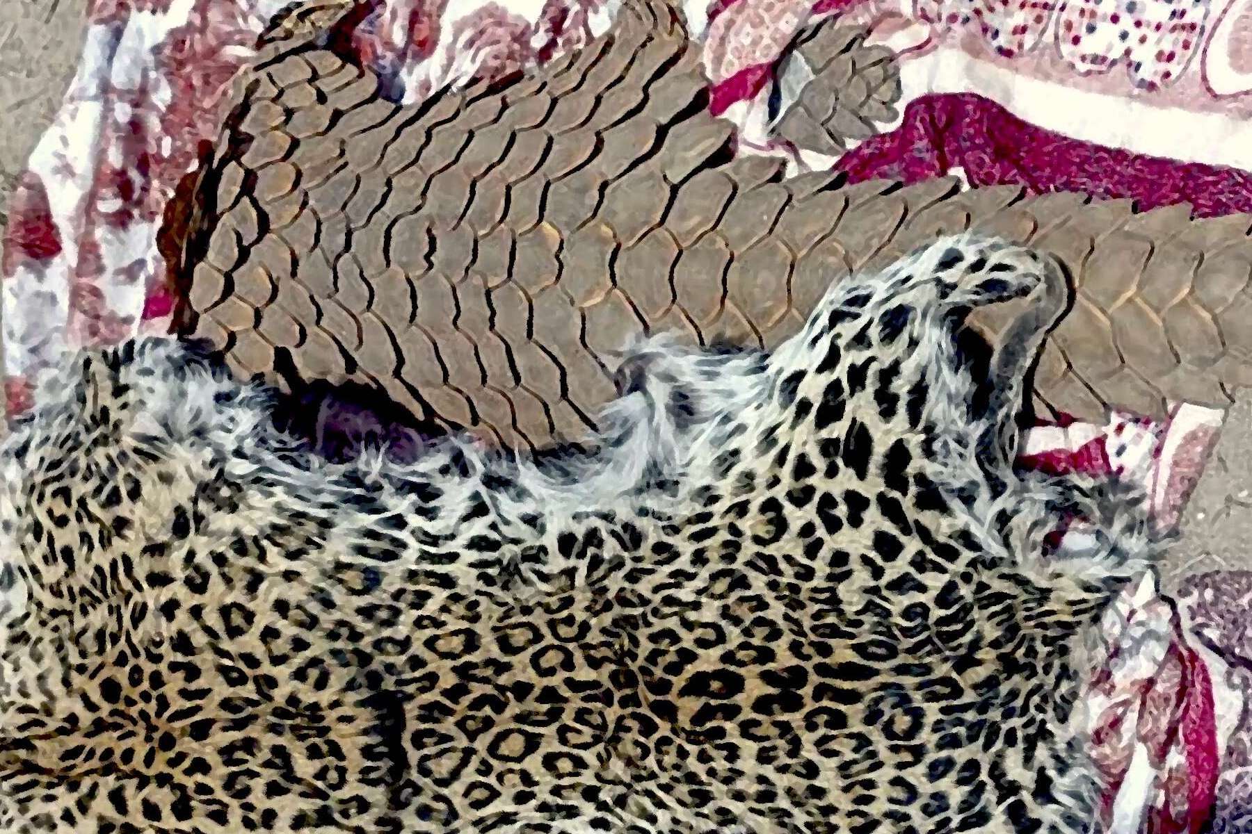 Leopard and pangolin hides.