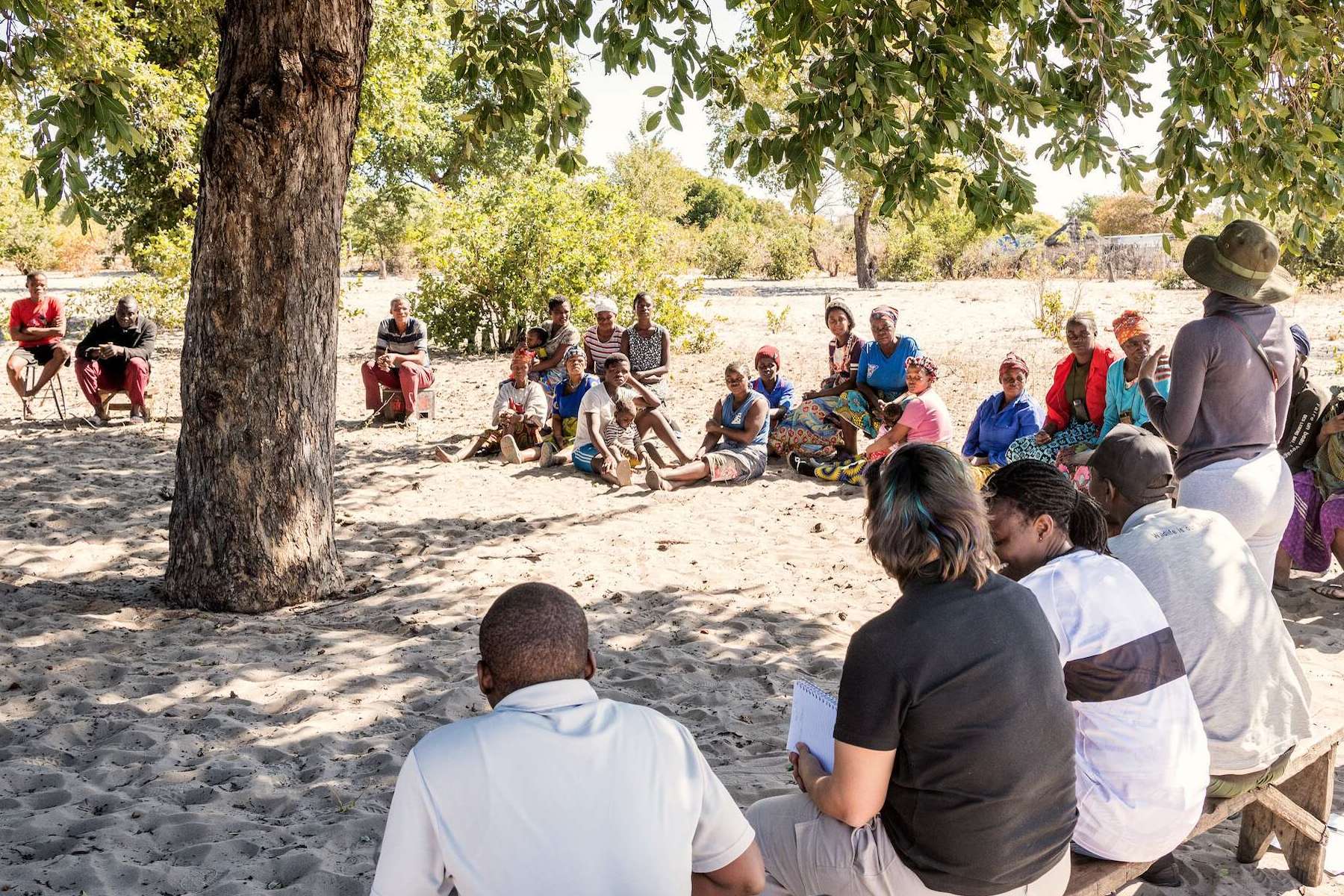 A group of people meeting under a tree.