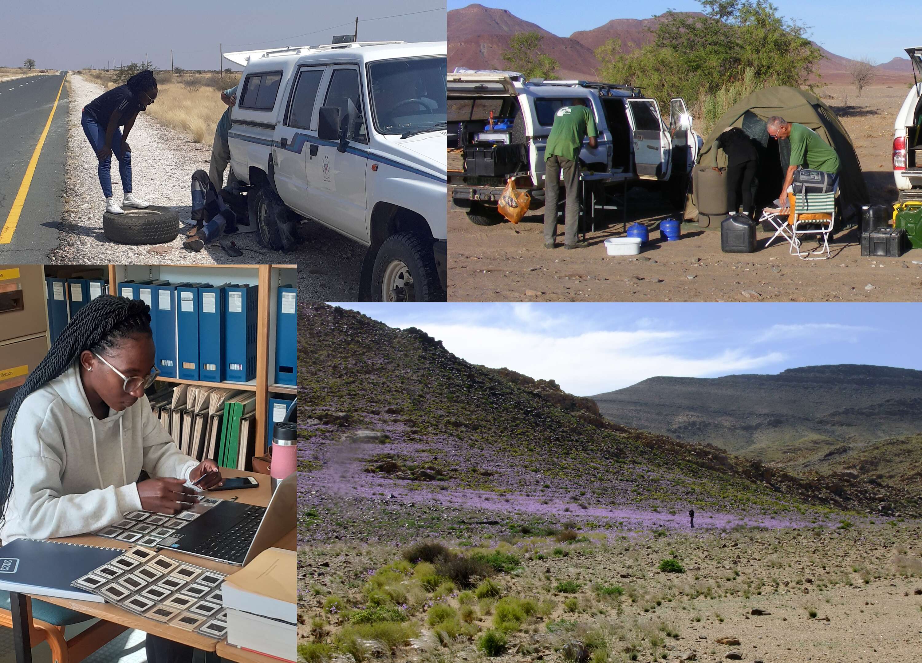 A collage of fieldwork images.