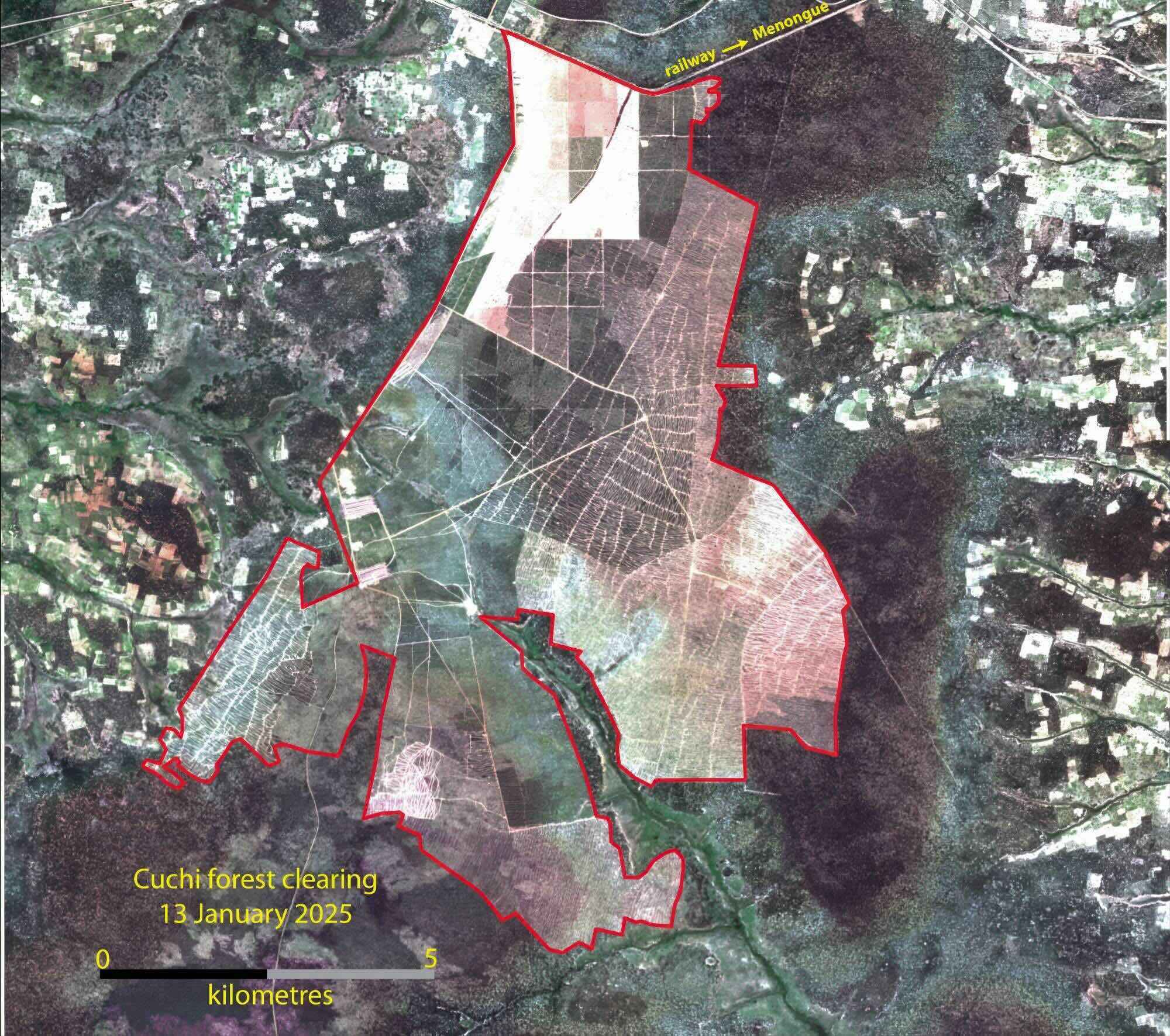 Aerial image shwoing an area of forest cleared.