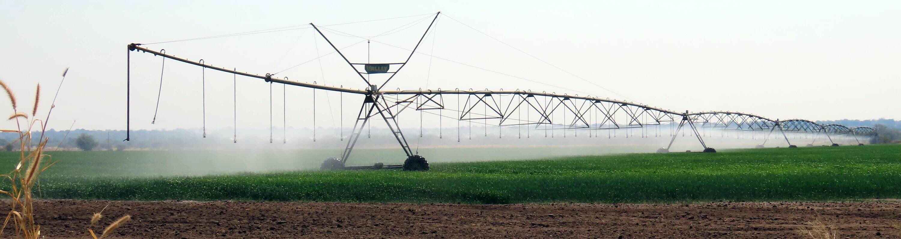 A large irrigation device waters lush green crops.
