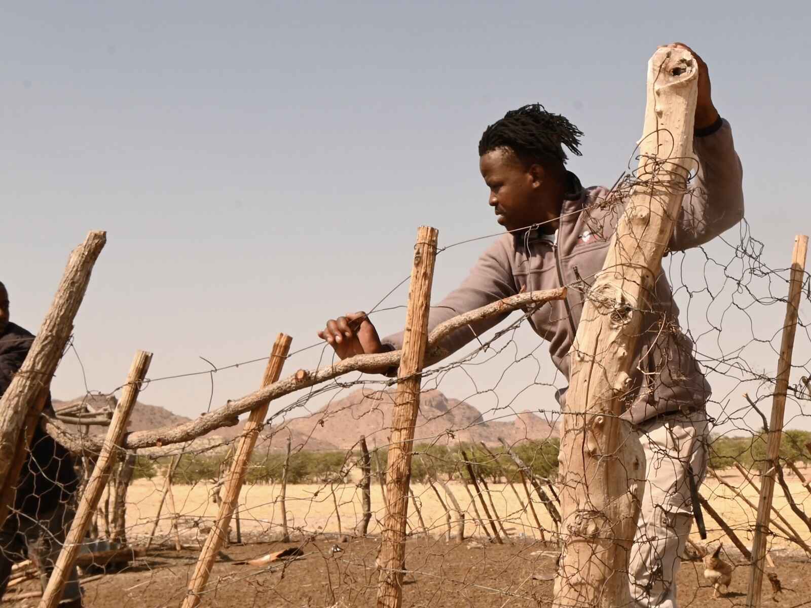 Two people repairing a fence.