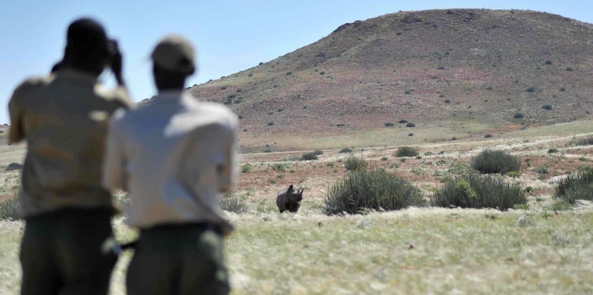 Two game guards looking towards a rhino in the distance.