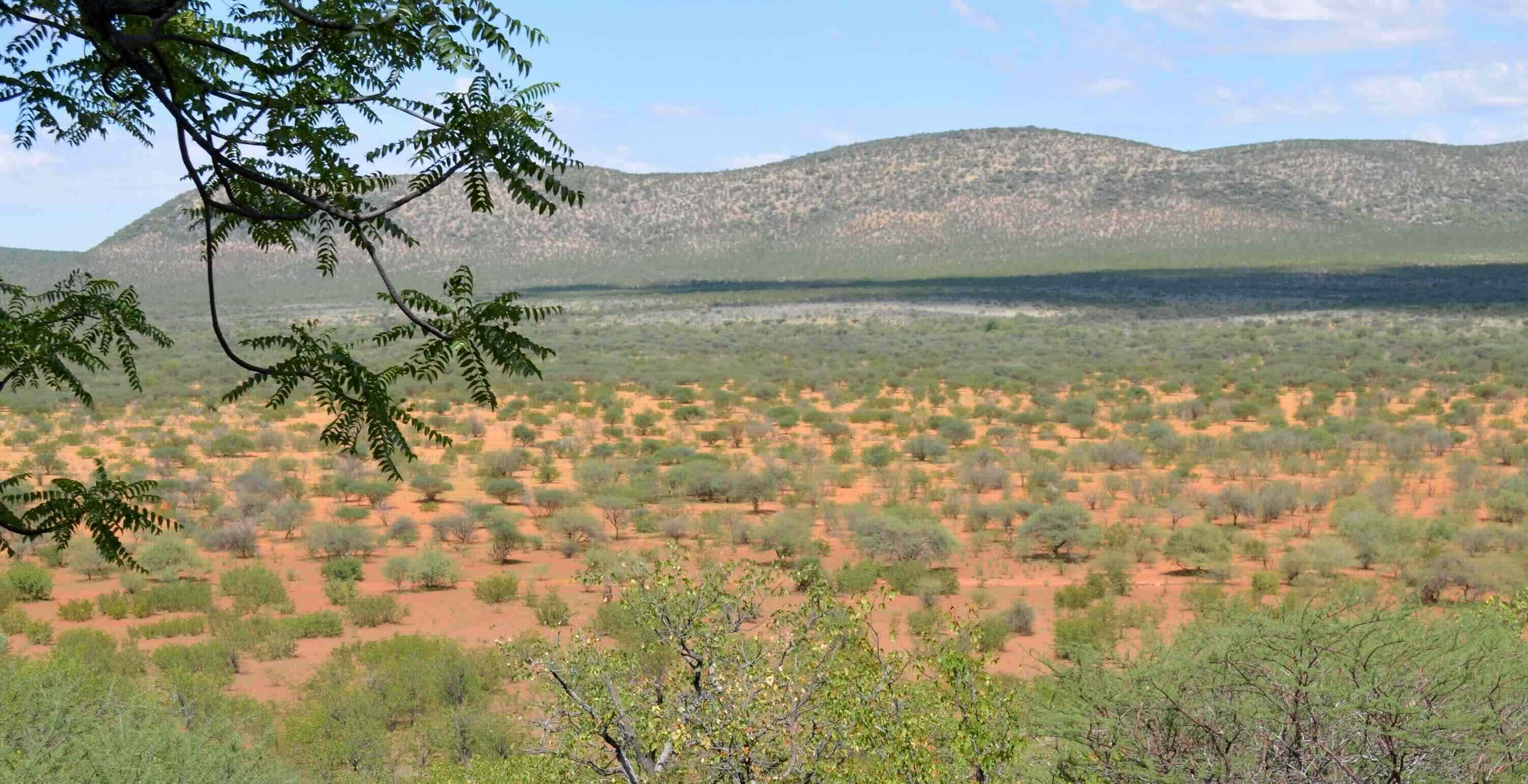 View over a pretty valley.