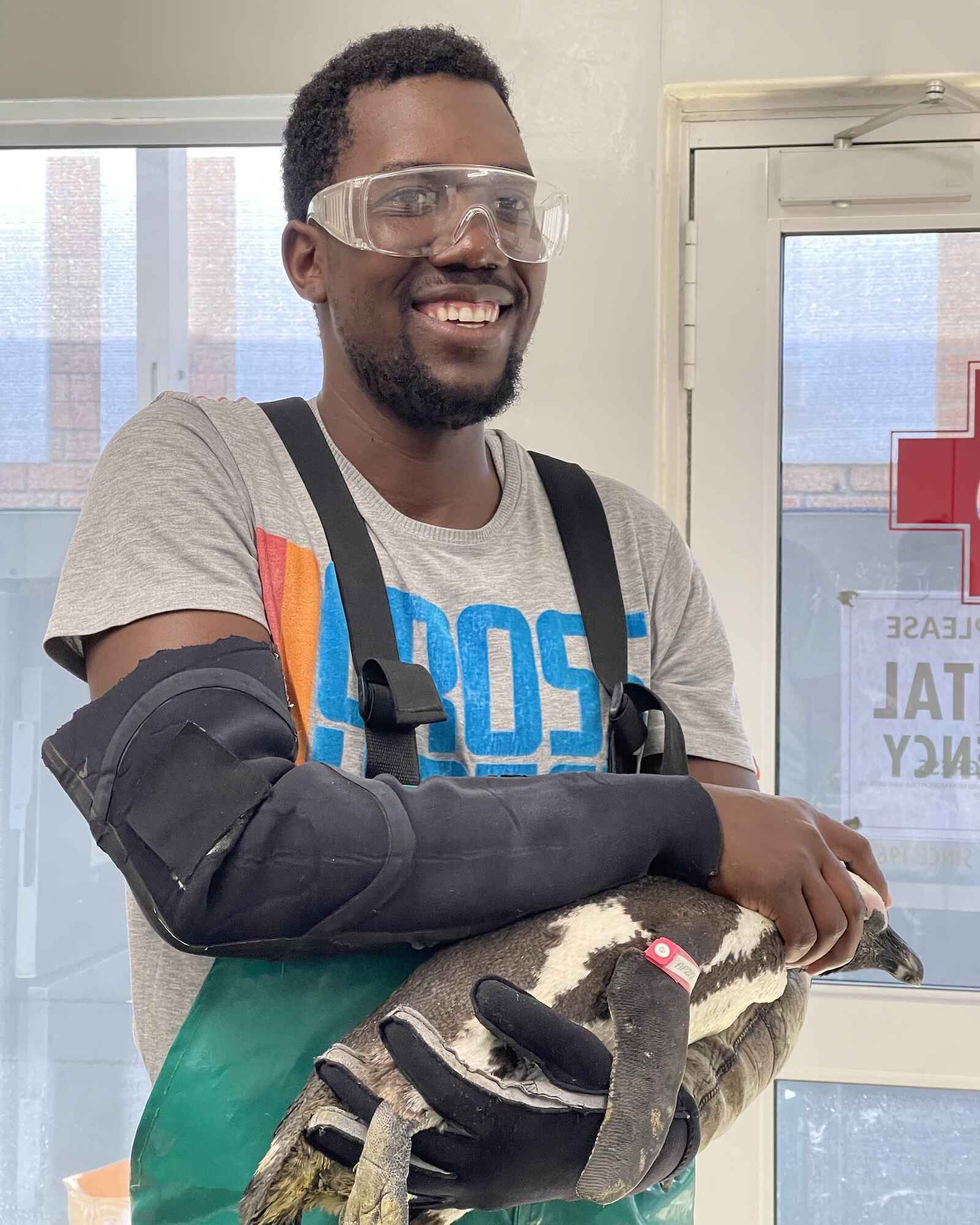 A smiling technicial holds an African penguin.