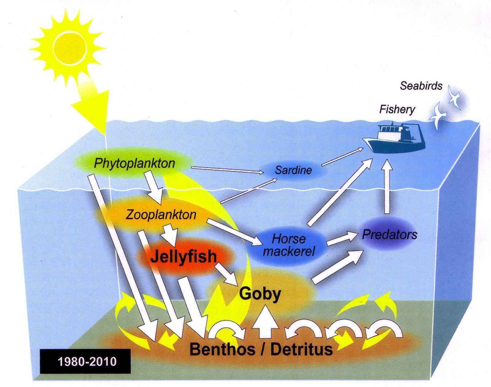 Infographic showing how the energy cycle works in the ocean during the years 1980-2010.