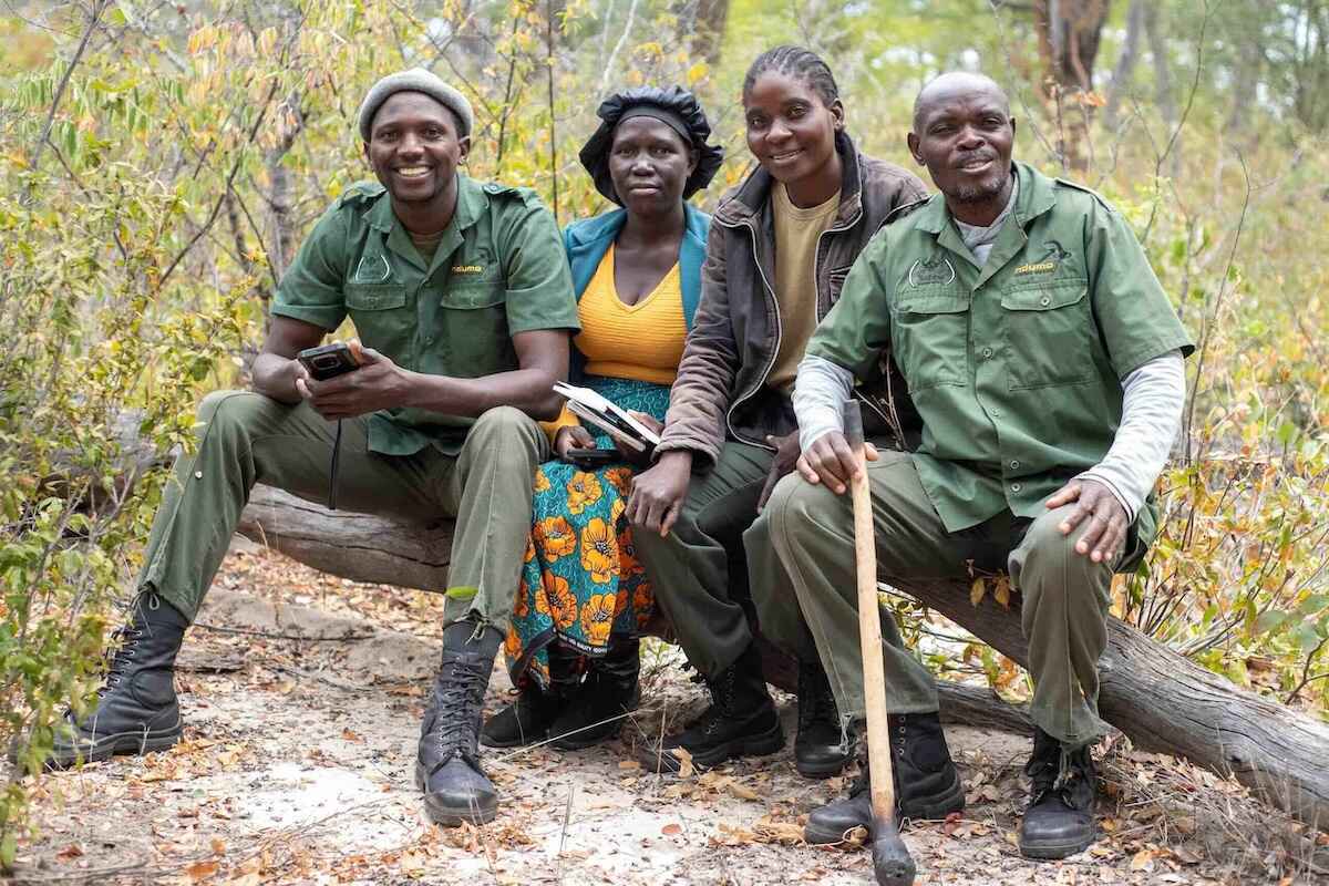 Four people sitting on a fallen tree and smiling for the camera.