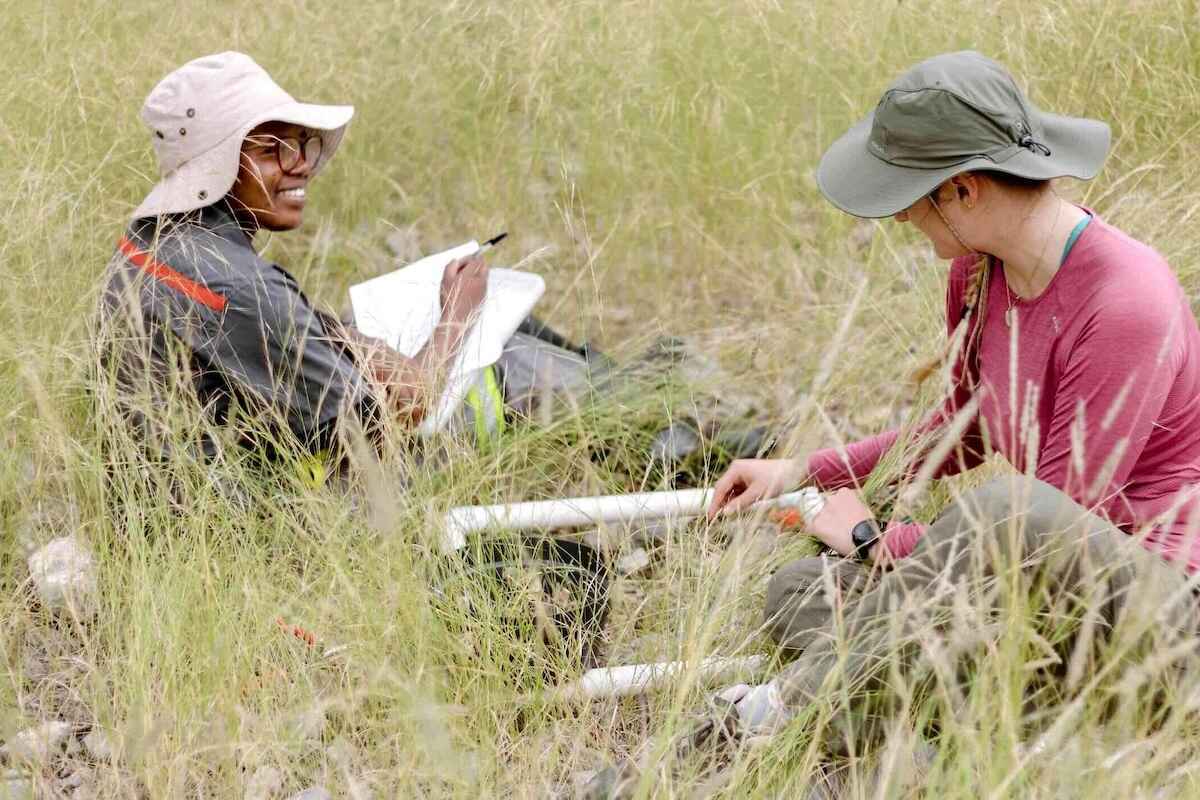Two people sitting in thick grass and recording data.