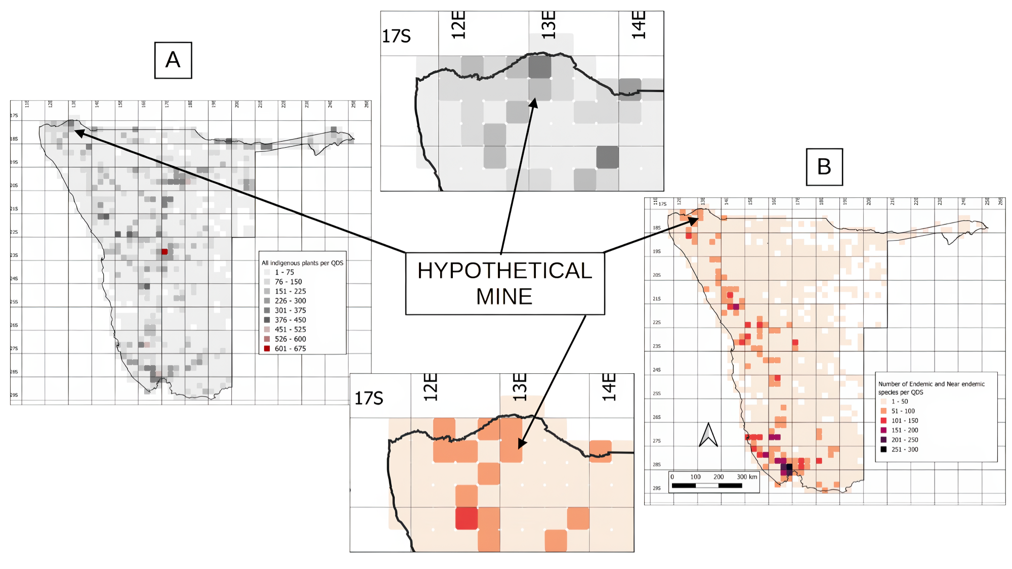 A map showing numbers of endemic species and species richness in Namibia.