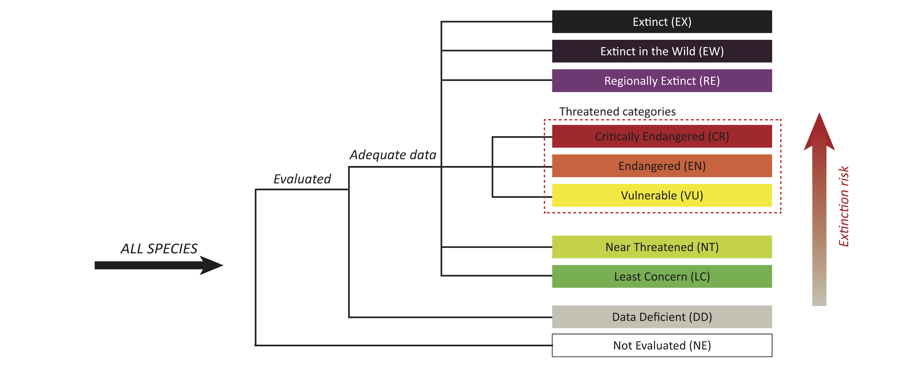 The categories of the IUCN redlist of endagered species.