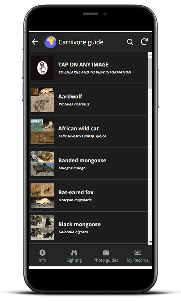 Device showing carnivore choices.
