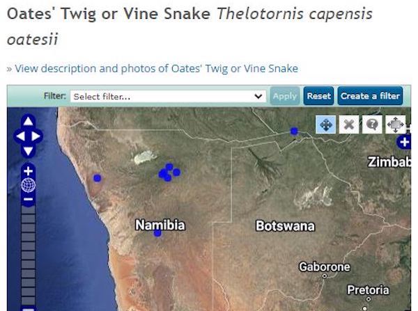 A distribution map of vine snake sightings made using the Atlasing app in Namibia.