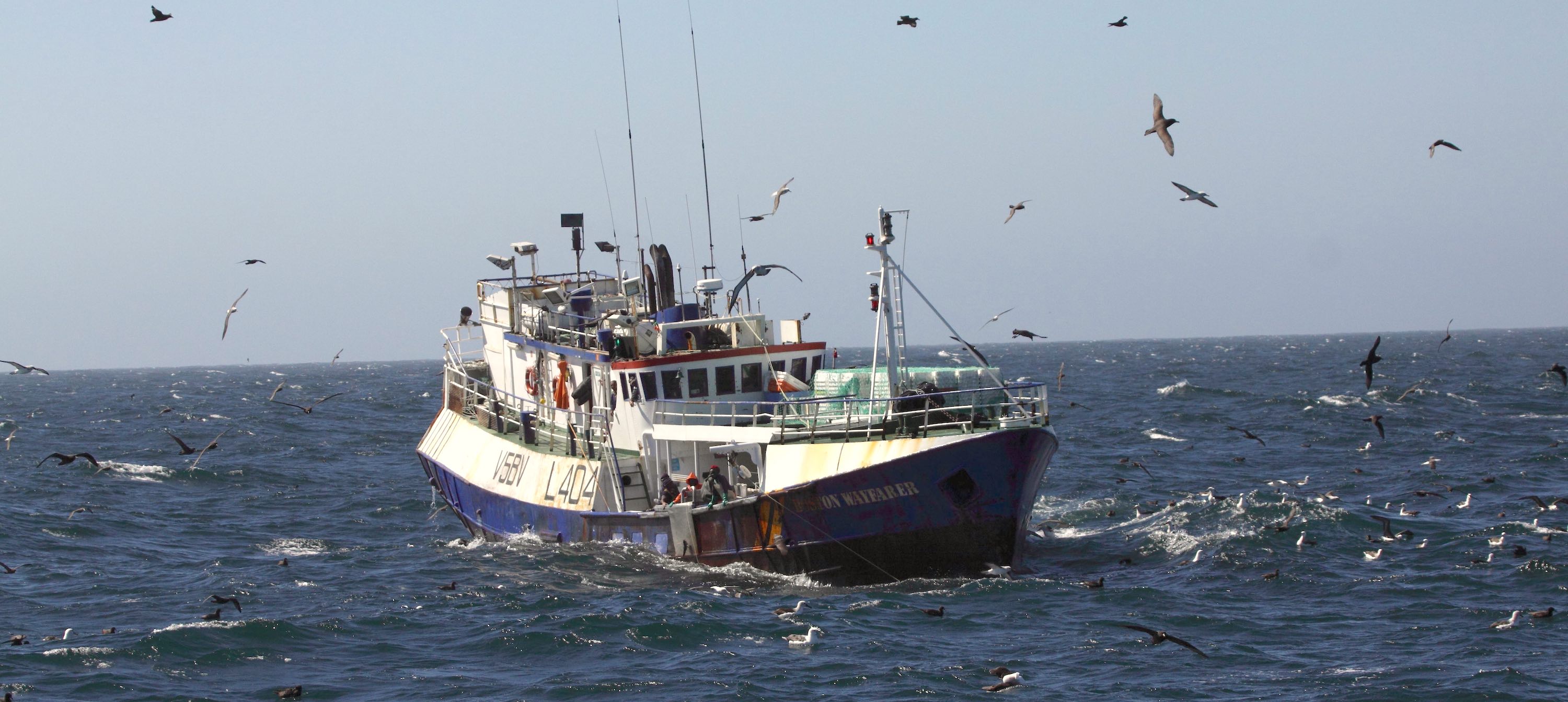 A fishing vessel at sea surrounded by birds.