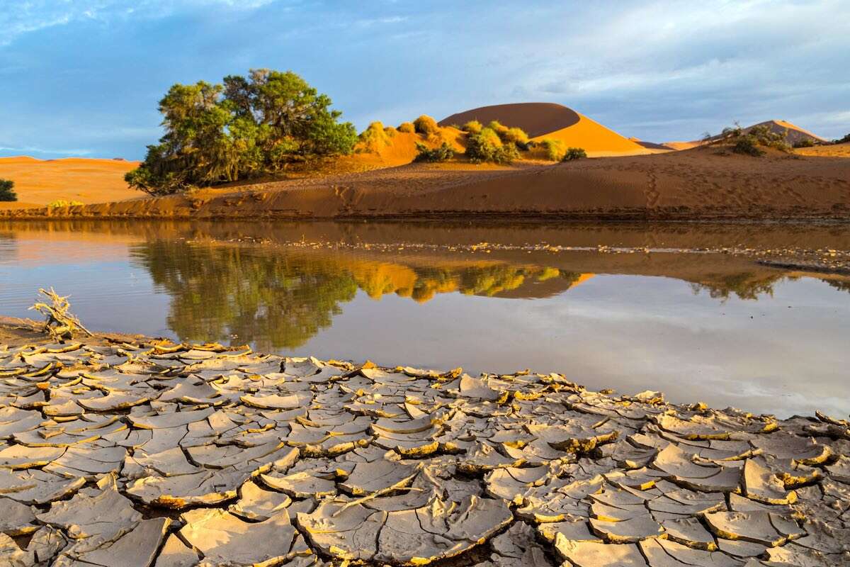 A red-sandy shoreline.