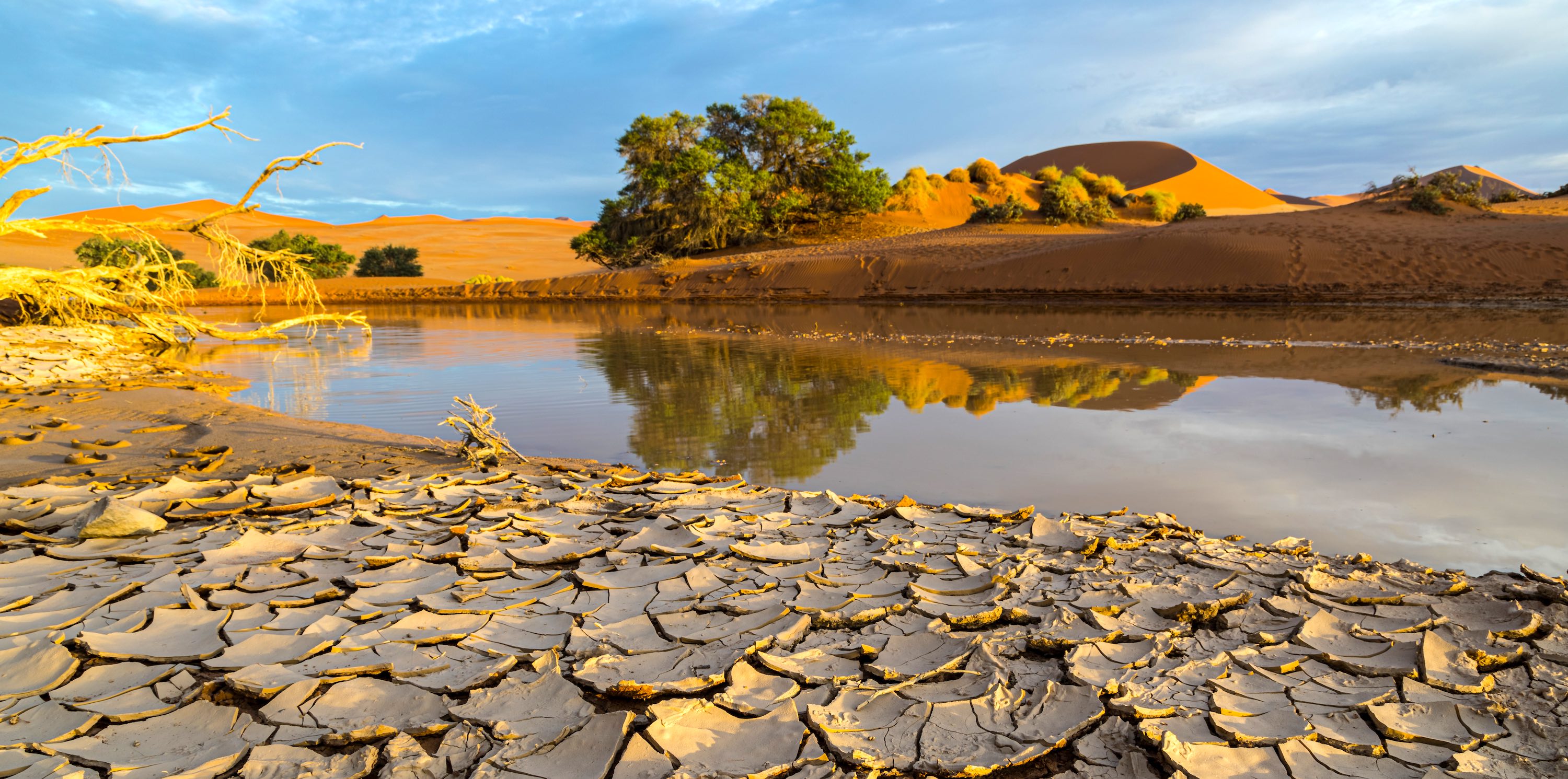 A muddy riverbank.