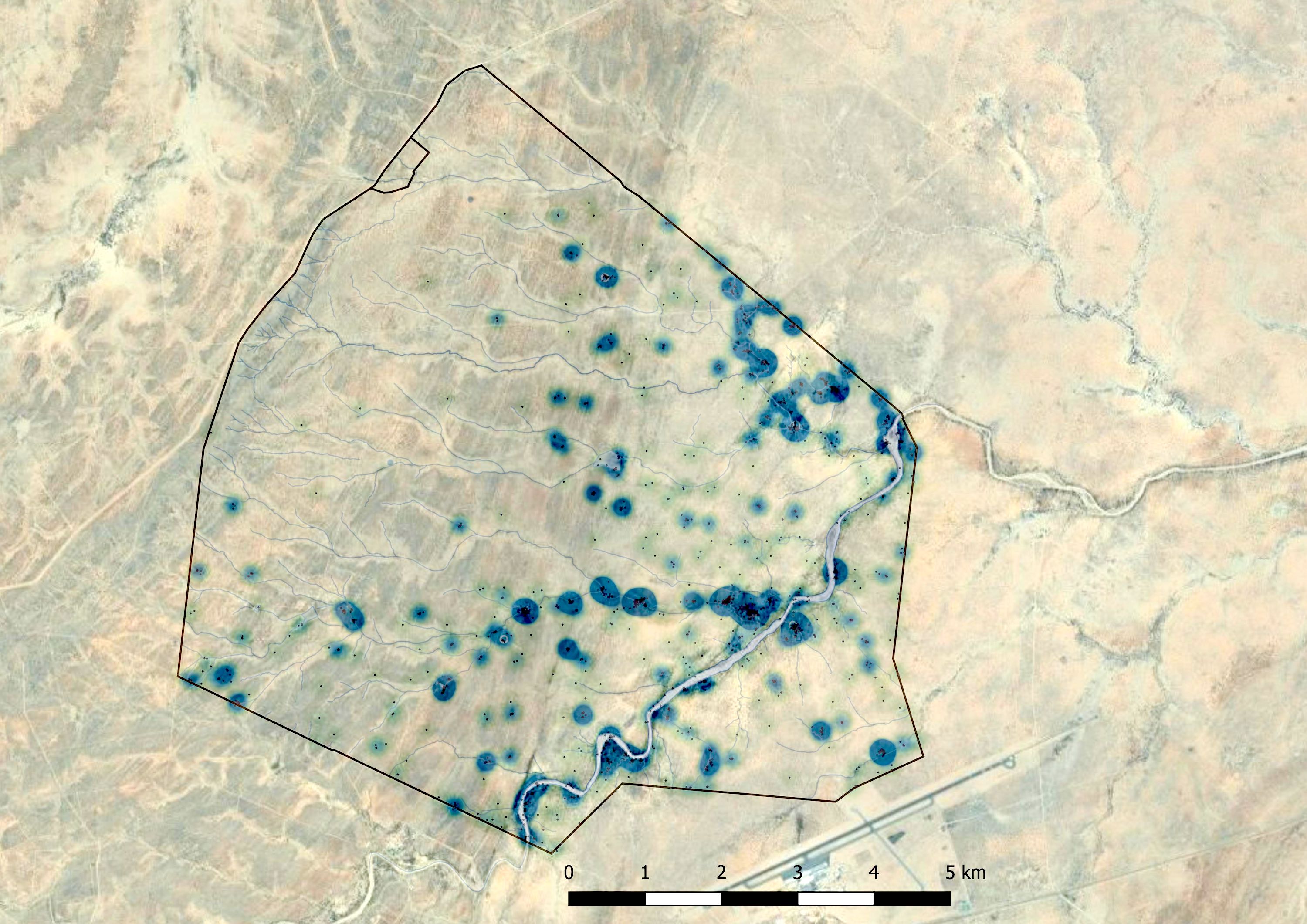 A map showing movements of the dogs.