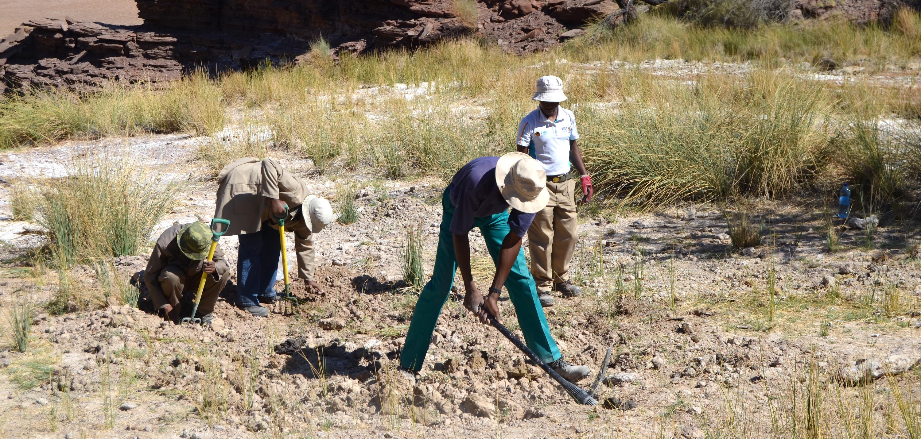 Four men digging with assorted tools.