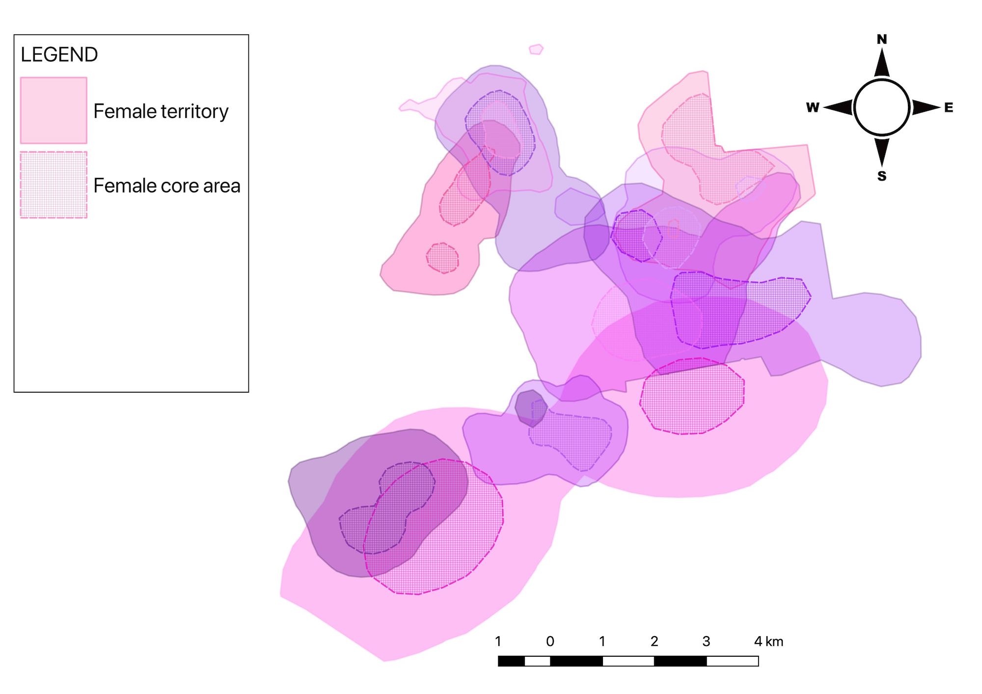 A diagram showing the territories of female pangolins.