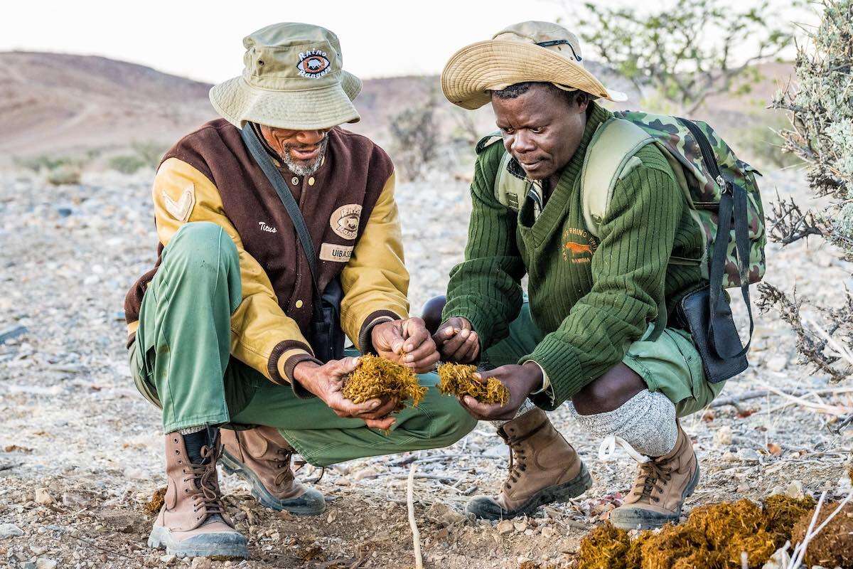 Two rangers on patrol.