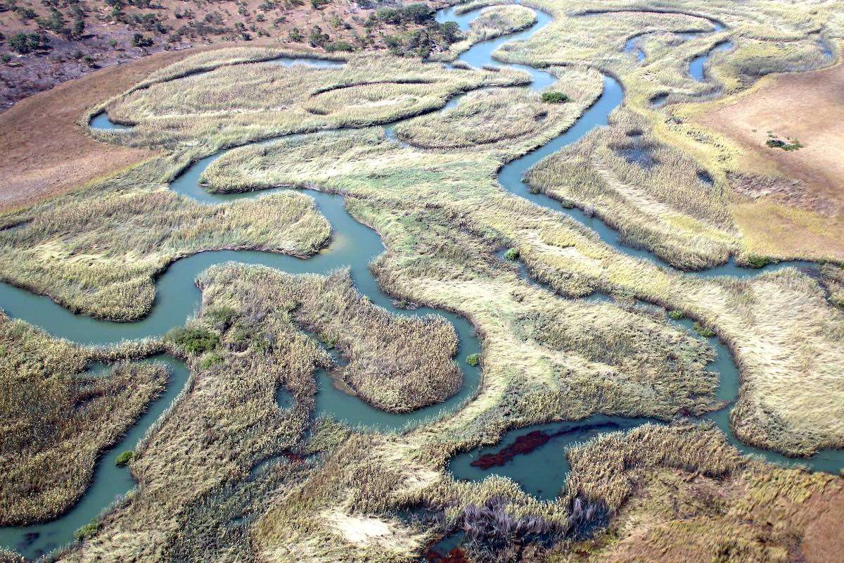 Overhead view of a complex river system running through grasslands.