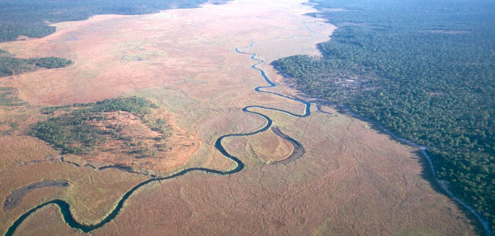 Aerial view of a narrow channel in a wide river system between thickly forested banks.