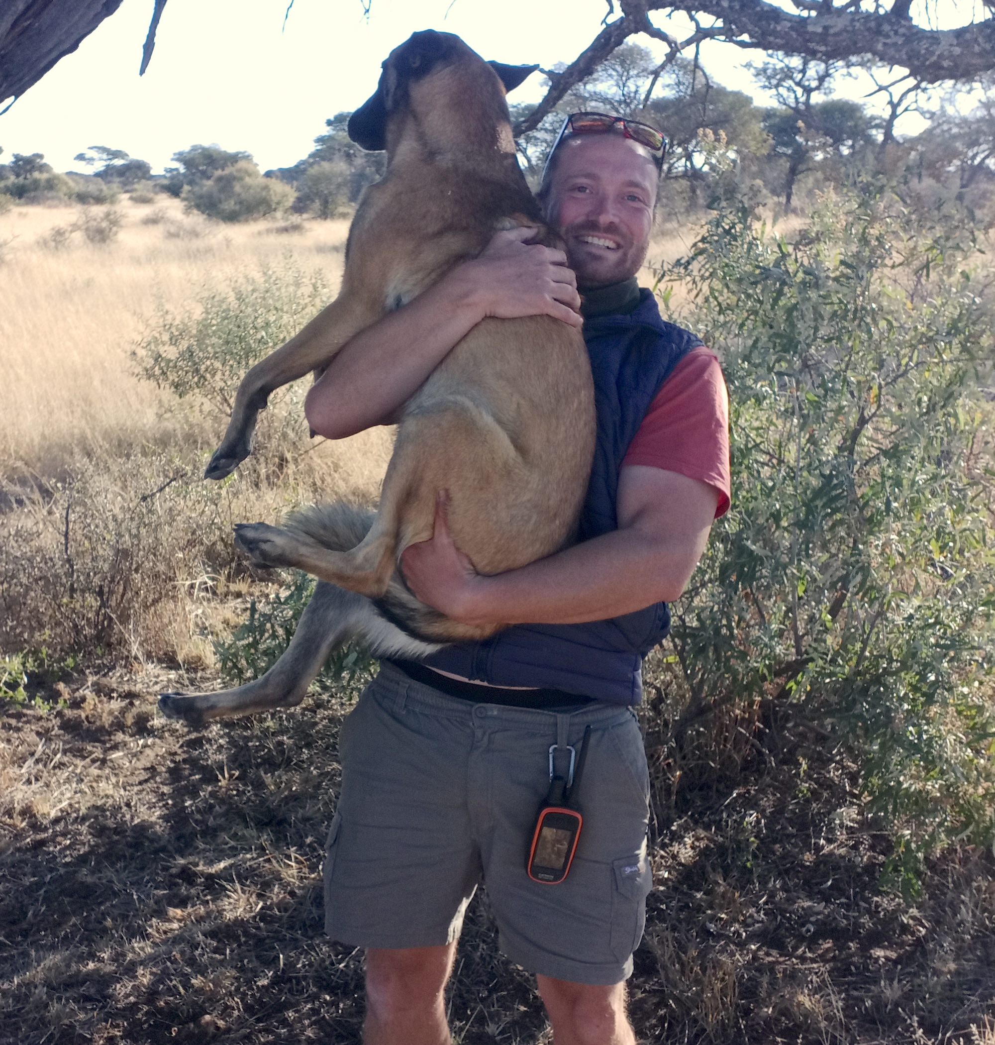 A man holds a Belgian Malinois dog in his arms.