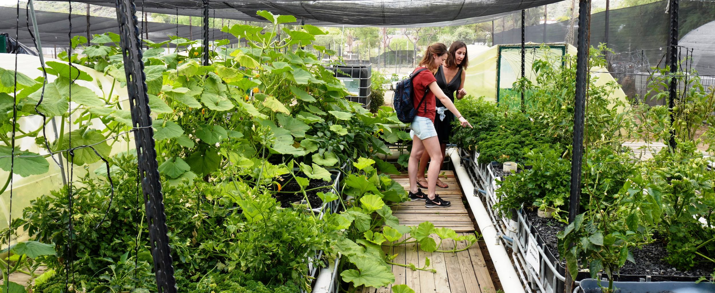 Two women inside a greenhouse packed with plants.