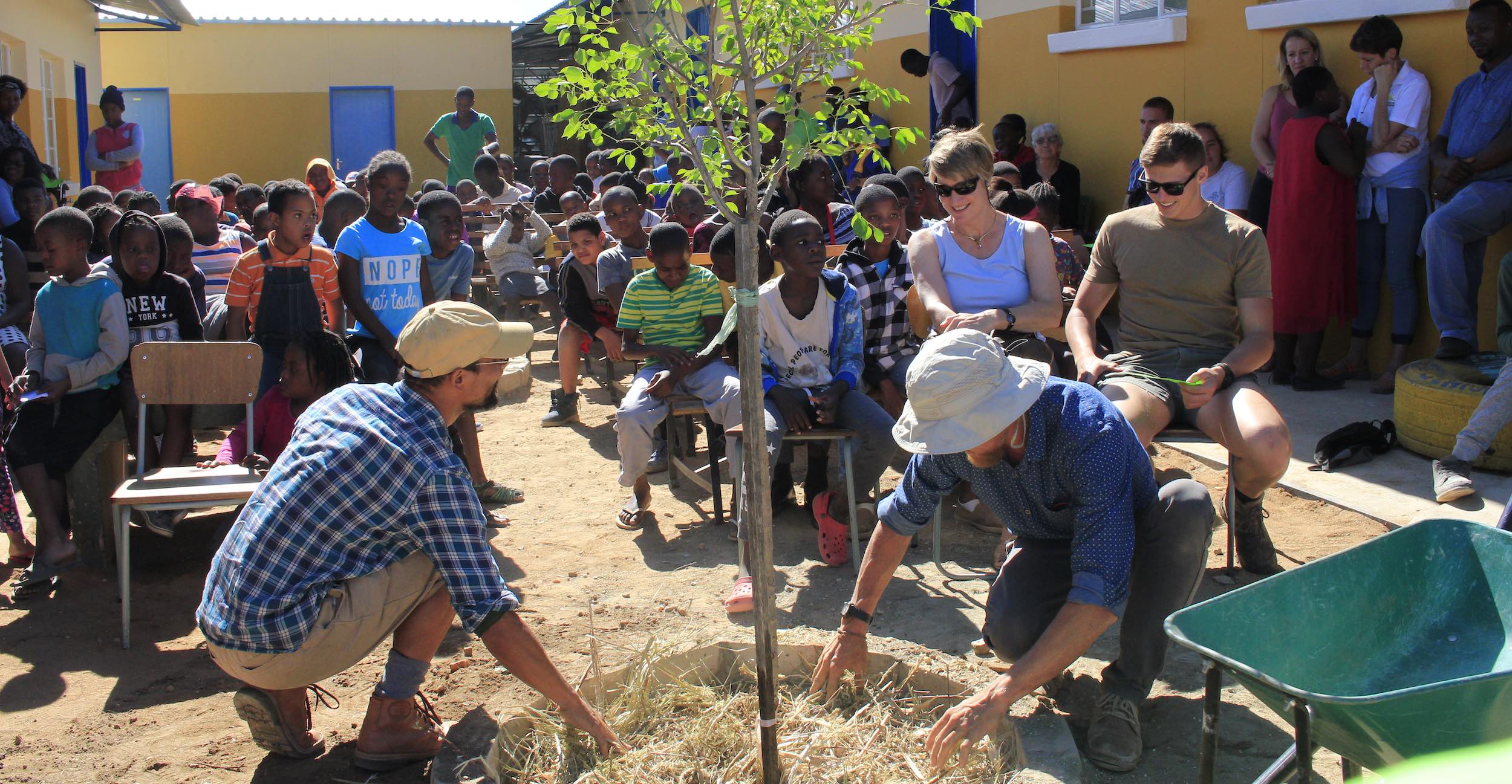 A tree is planted at a school, while the pupils look on.
