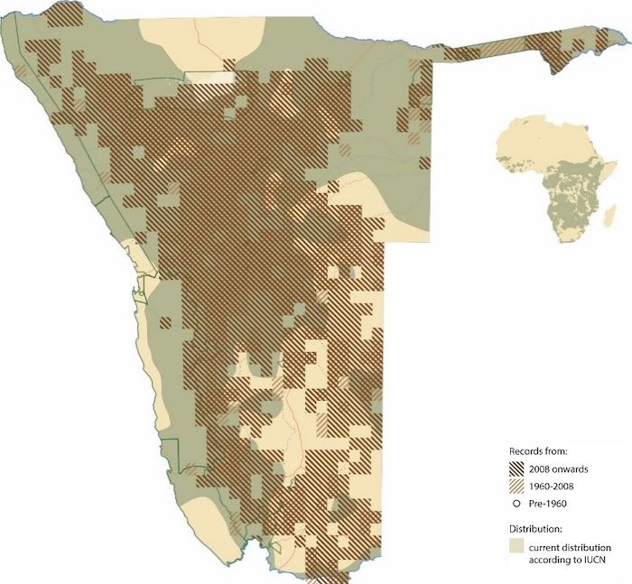A map showing where people have reported seeing leopards.