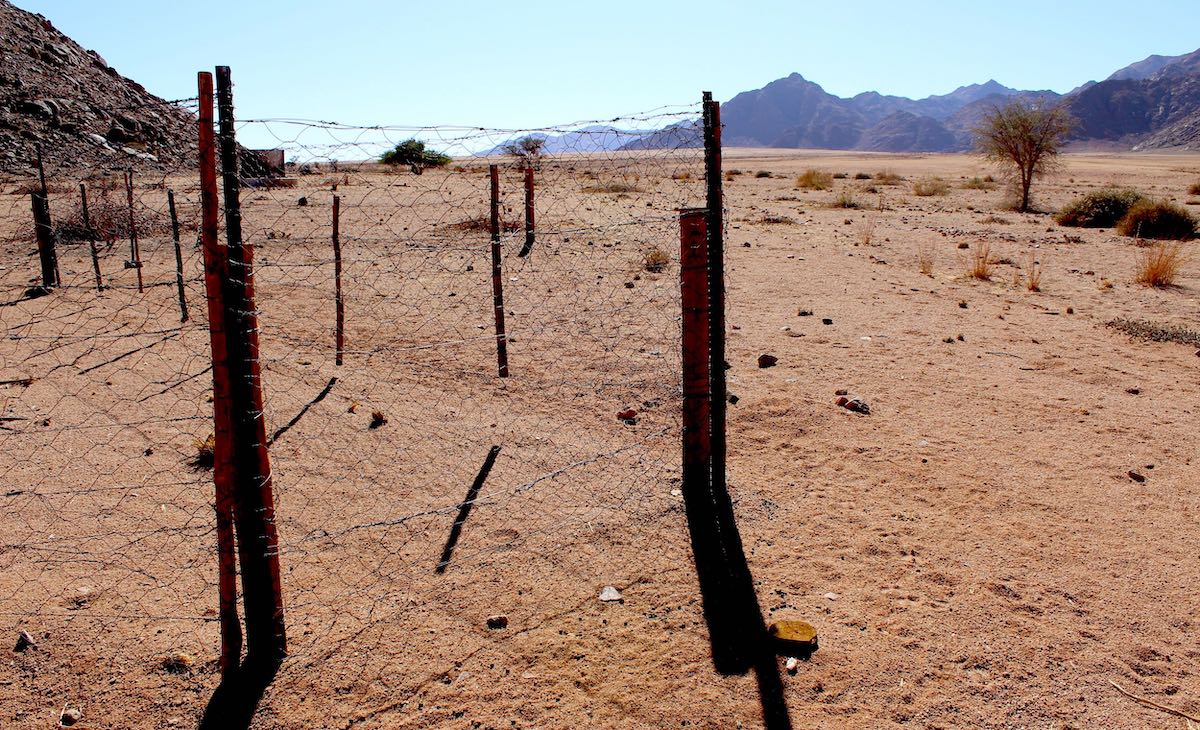 Hyaena proof mesh wire fence gate in the closed/raised position.