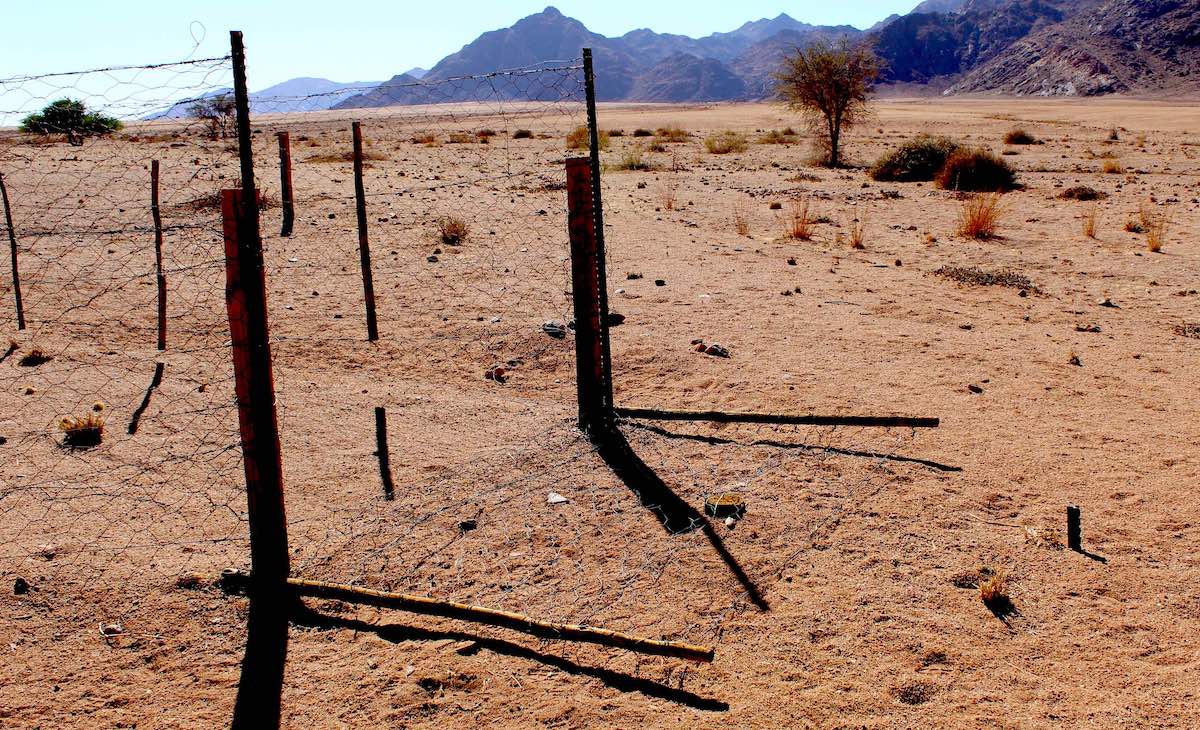 Hyaena proof mesh wire fence gate in the open/lowered position.