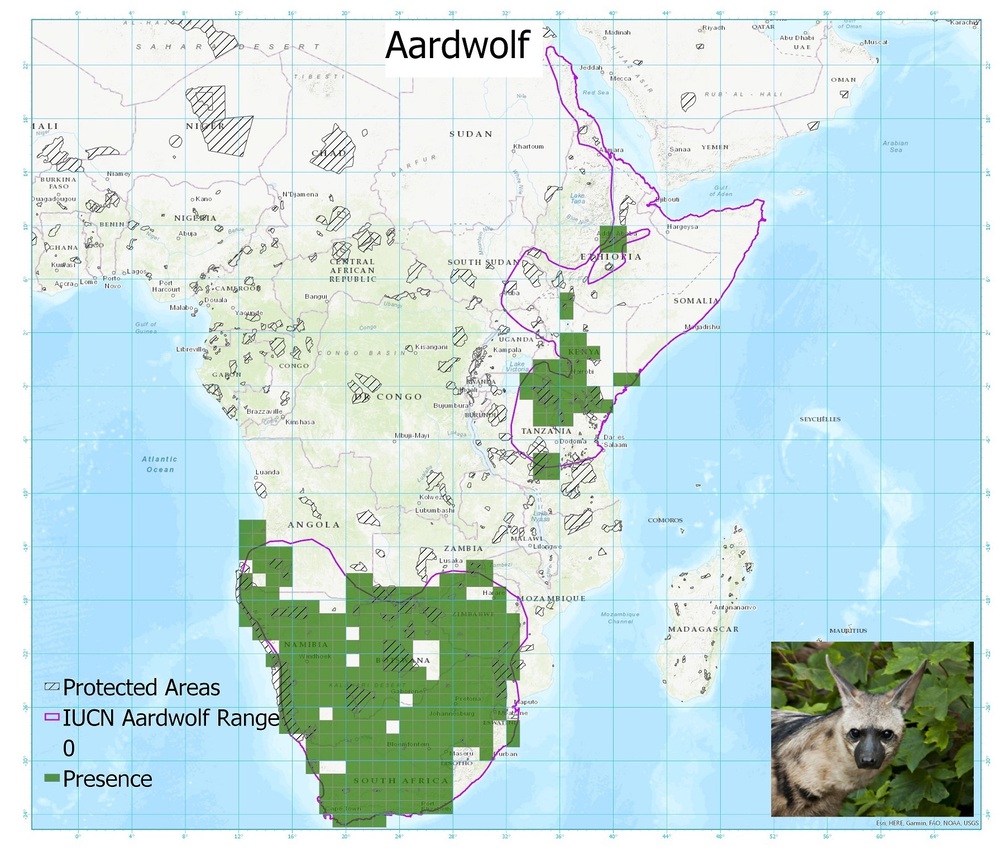A distribution map of aardwolf sightings showing that they occur in two distinct populations, one in east Africa, and one in southern Africa.