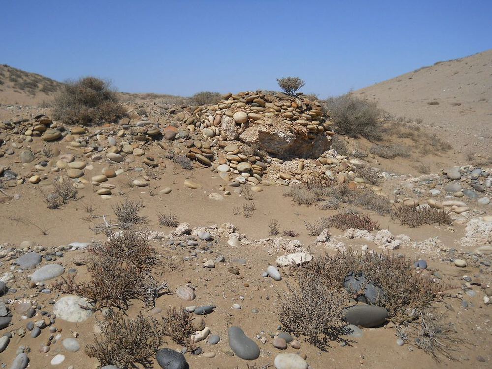 Many rocks embedded in a sand dune.