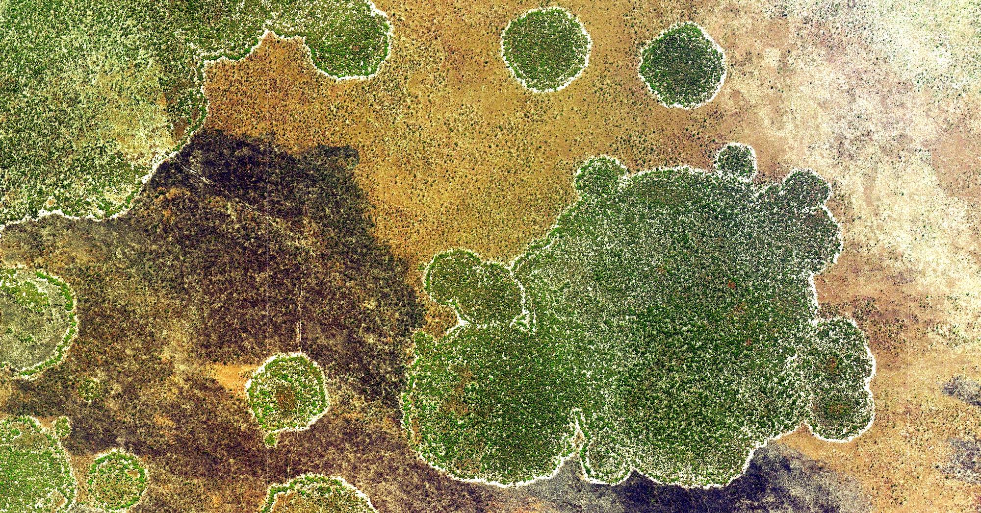 An aerial view showing distinctive green vegetation circles against a brownish background.