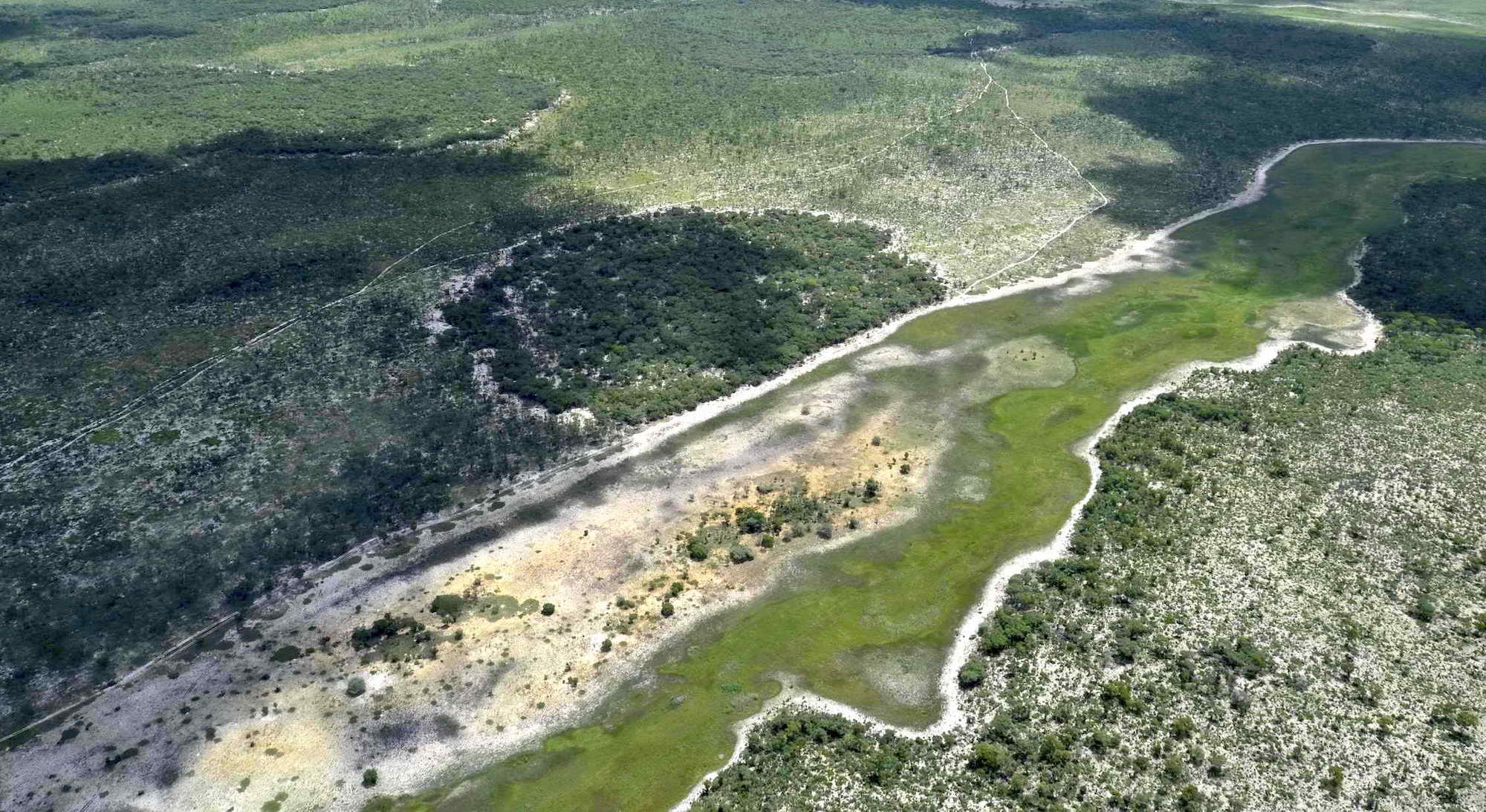 An aerial view showing a truncated fairy forest with a distinct white border.