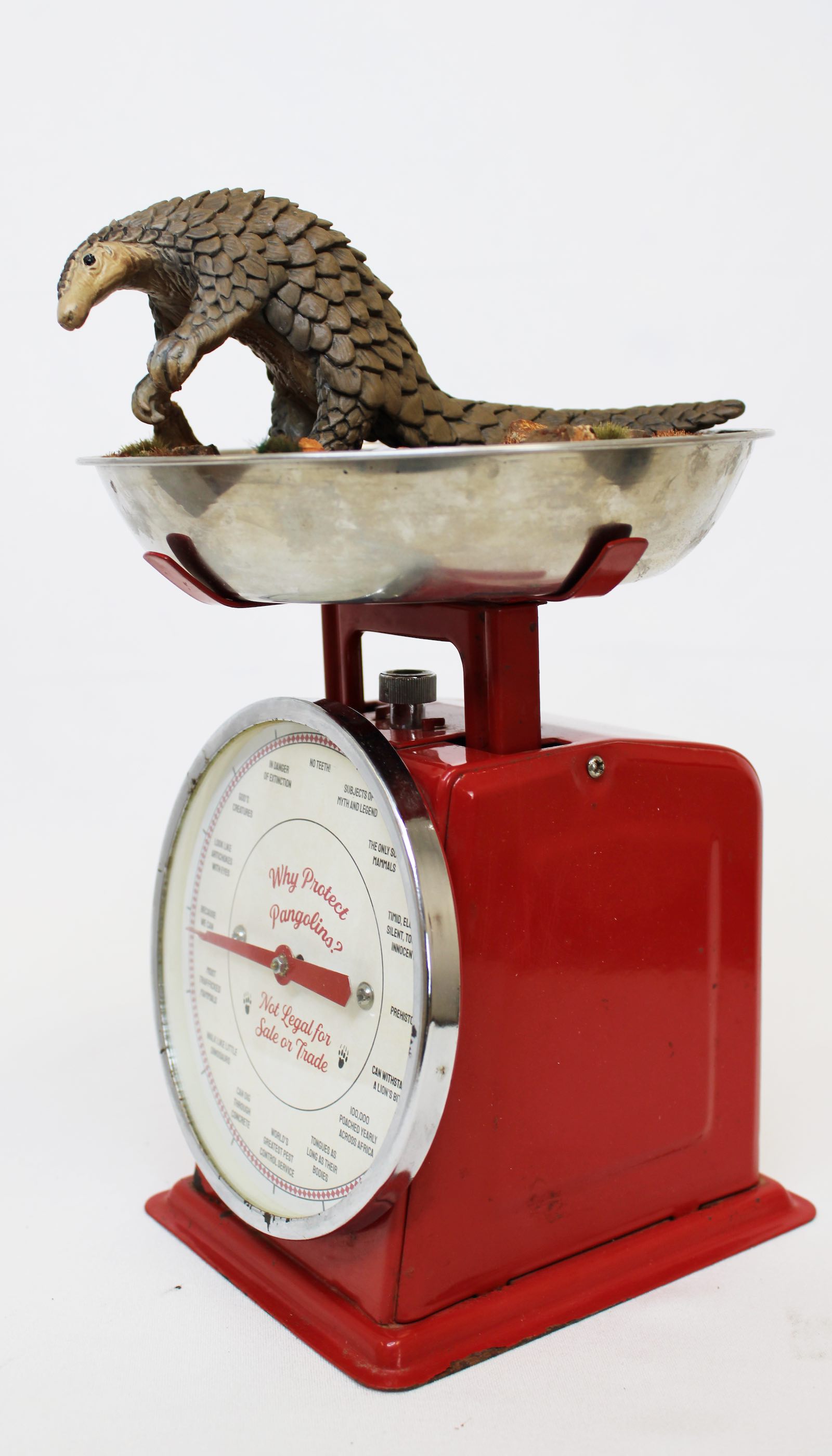 Sculpture of a pangolin on a set of weighing scales.