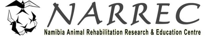 Namibia Animal Rehabilitation, Research and Education Centre (NARREC) logo.