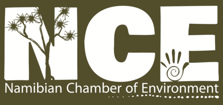 NCE logo.