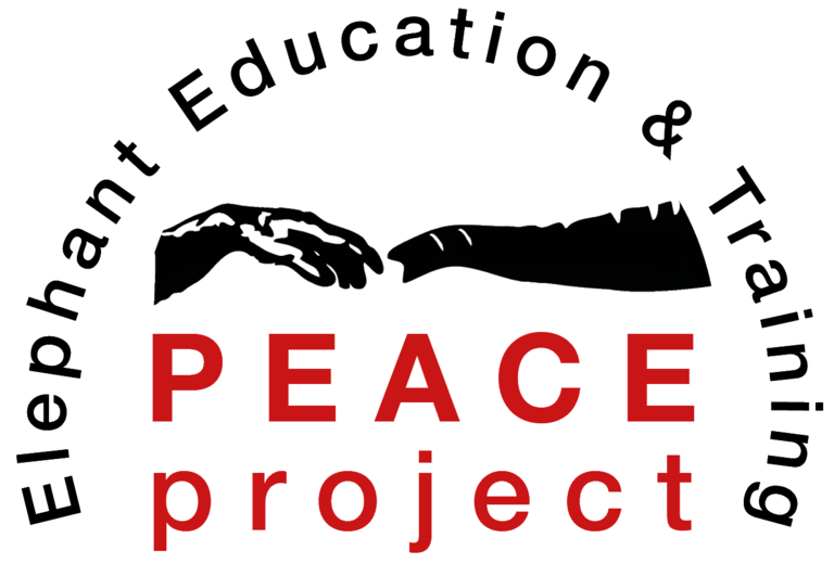 PEACE Project logo.