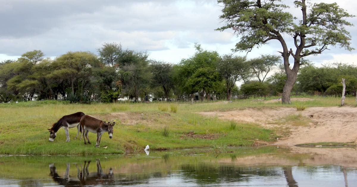 How to increase the contribution of community conservation to rural