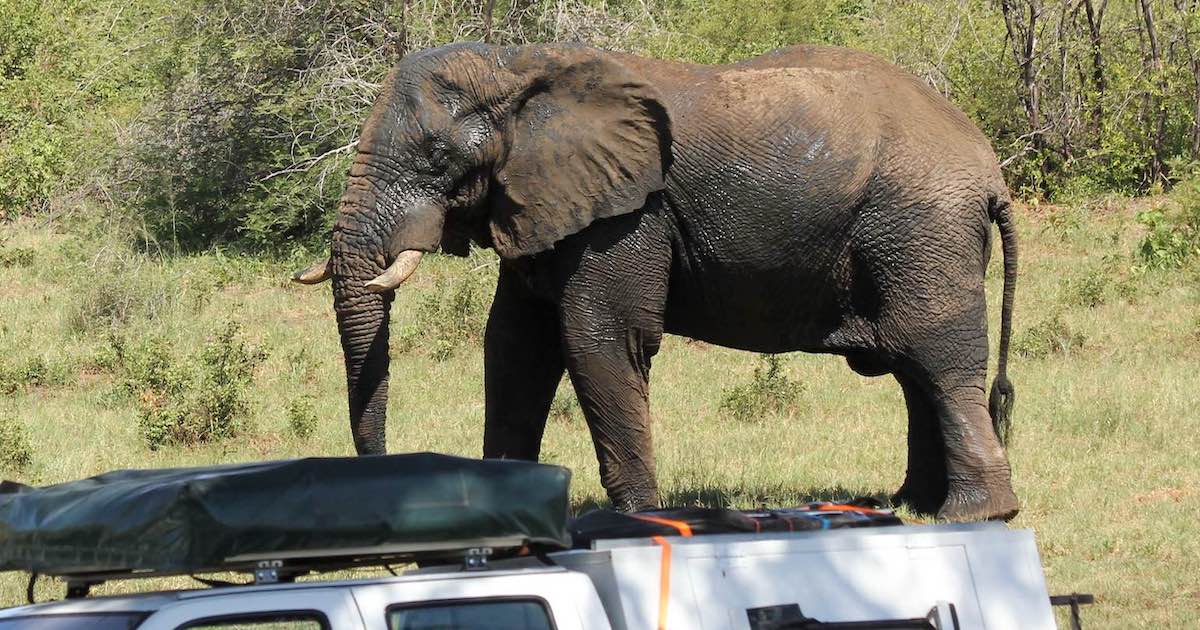 Conservancies in Namibia need to look beyond tourism to drive rural