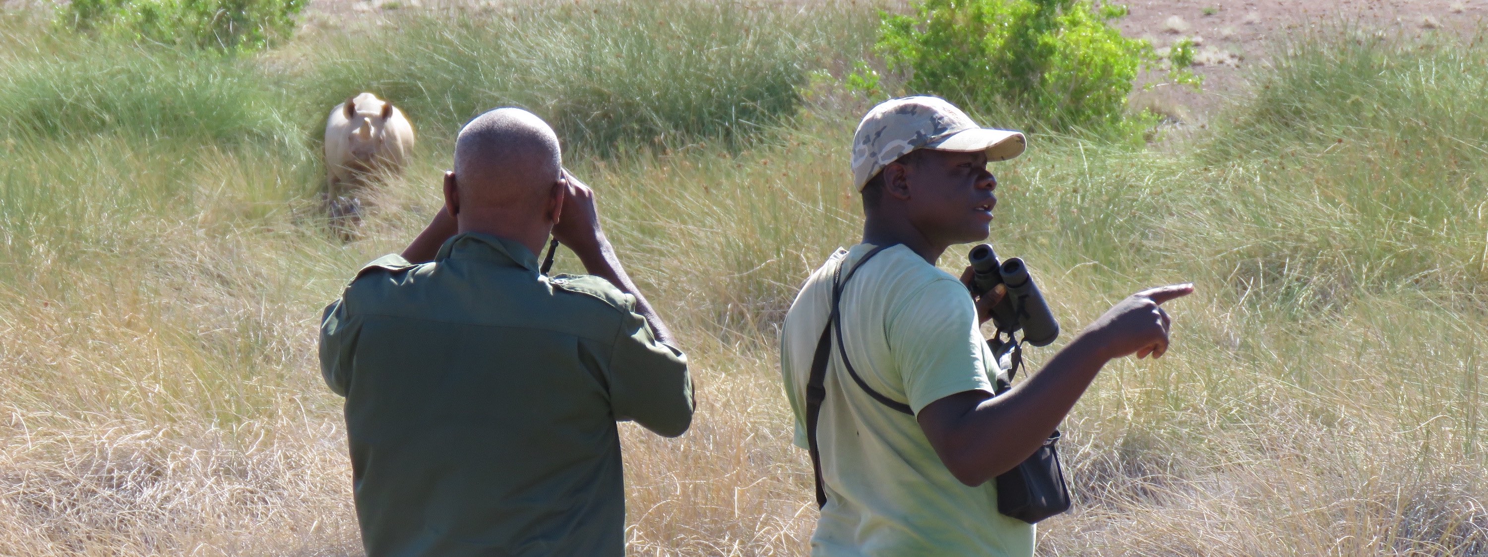 Two rangers tracking a black rhino in the bush.