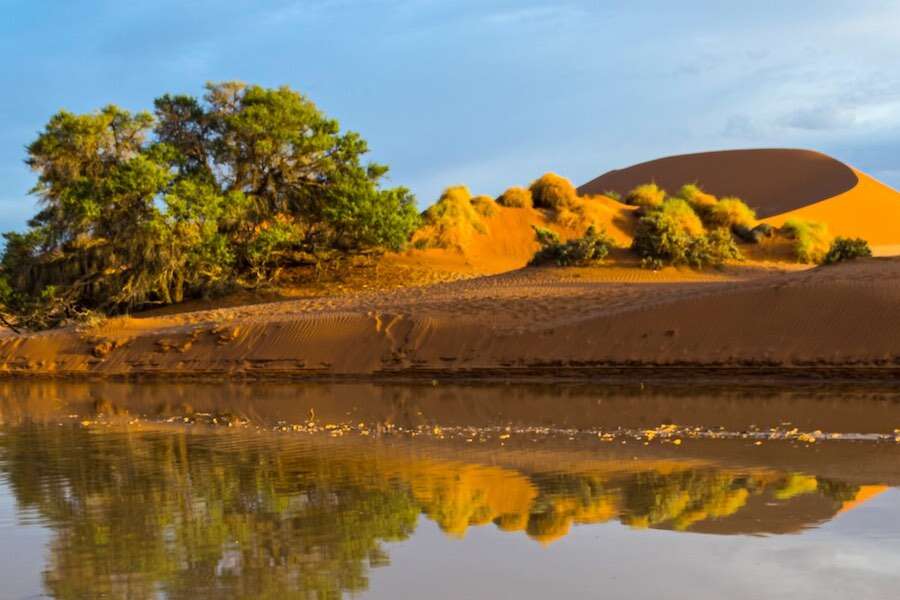 A red-sandy shoreline.