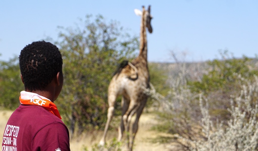 A young vet watches as a giraffe runs into the distance.