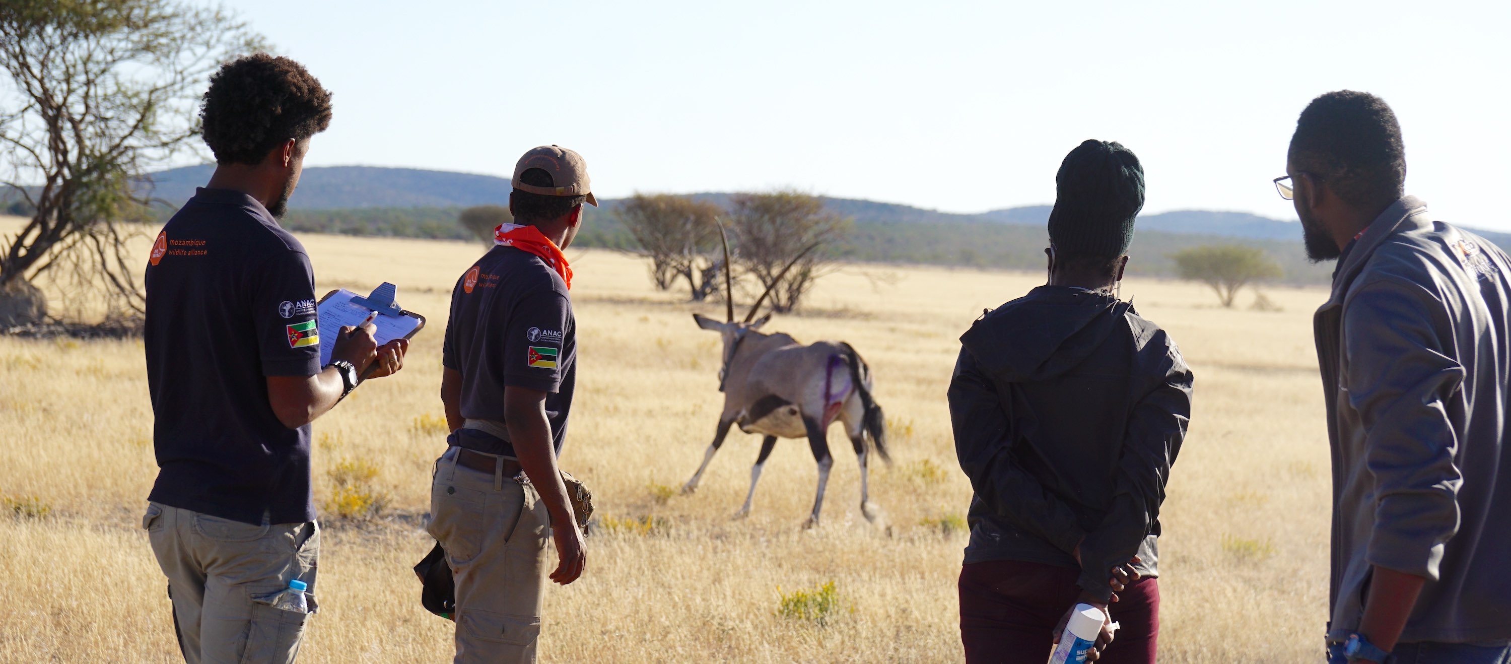 Four vets watch as a gemsbok runs into the distance.