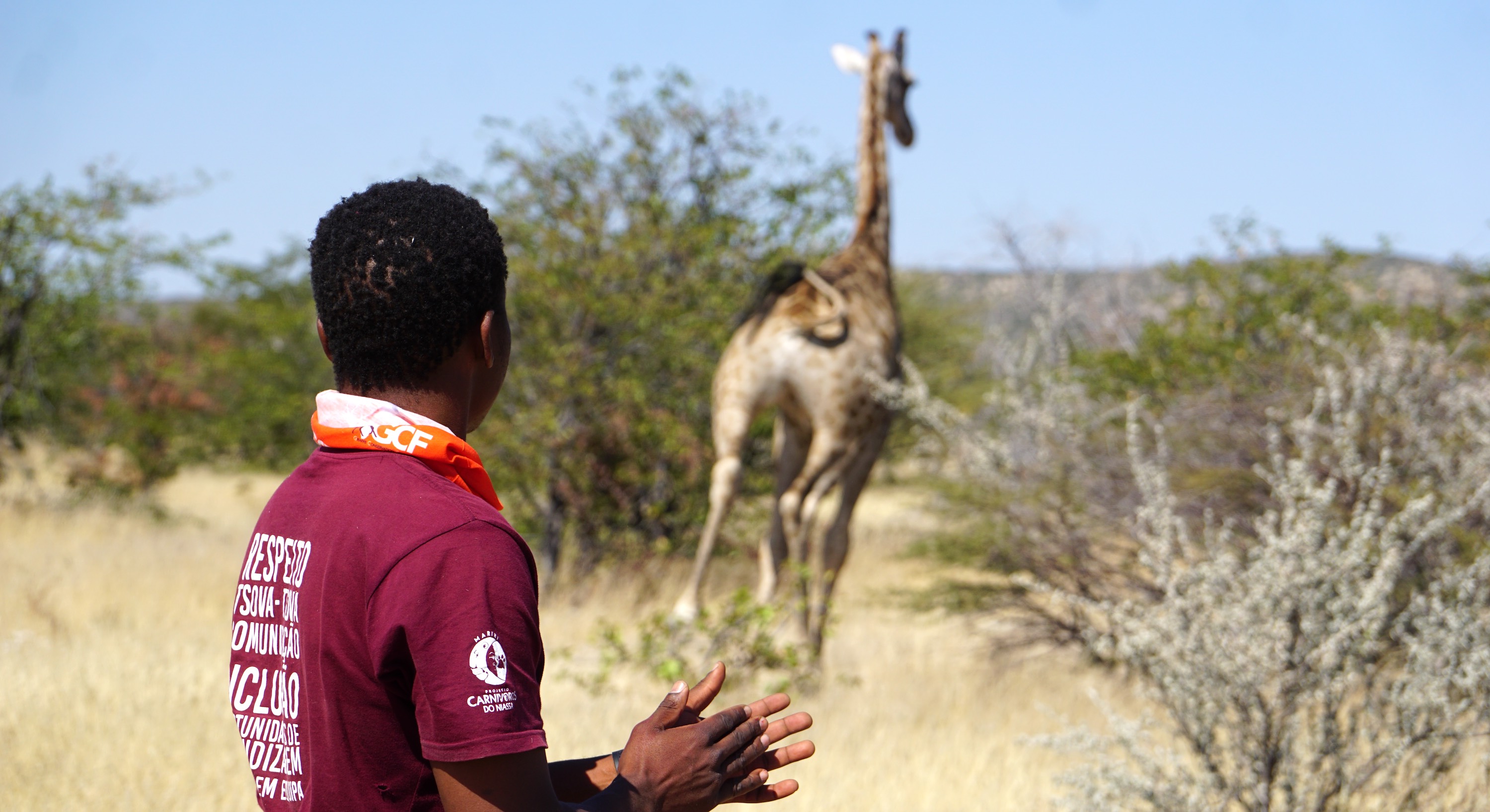 One of the trainees watches as a giraffe runs into the distance.